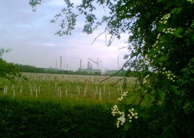 Rural landscape with refineries in the distance